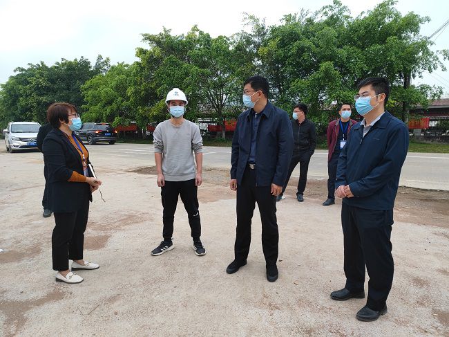 秦義敏（右二）在項目視察指導工作。梁凱 攝(修圖）.jpg